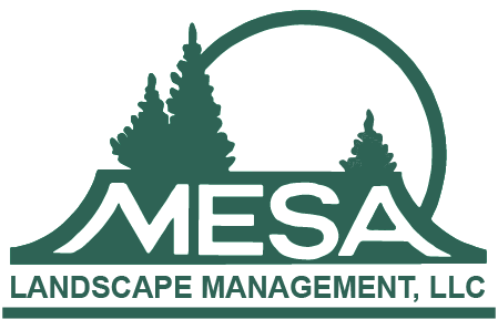 mesa landscaping logo